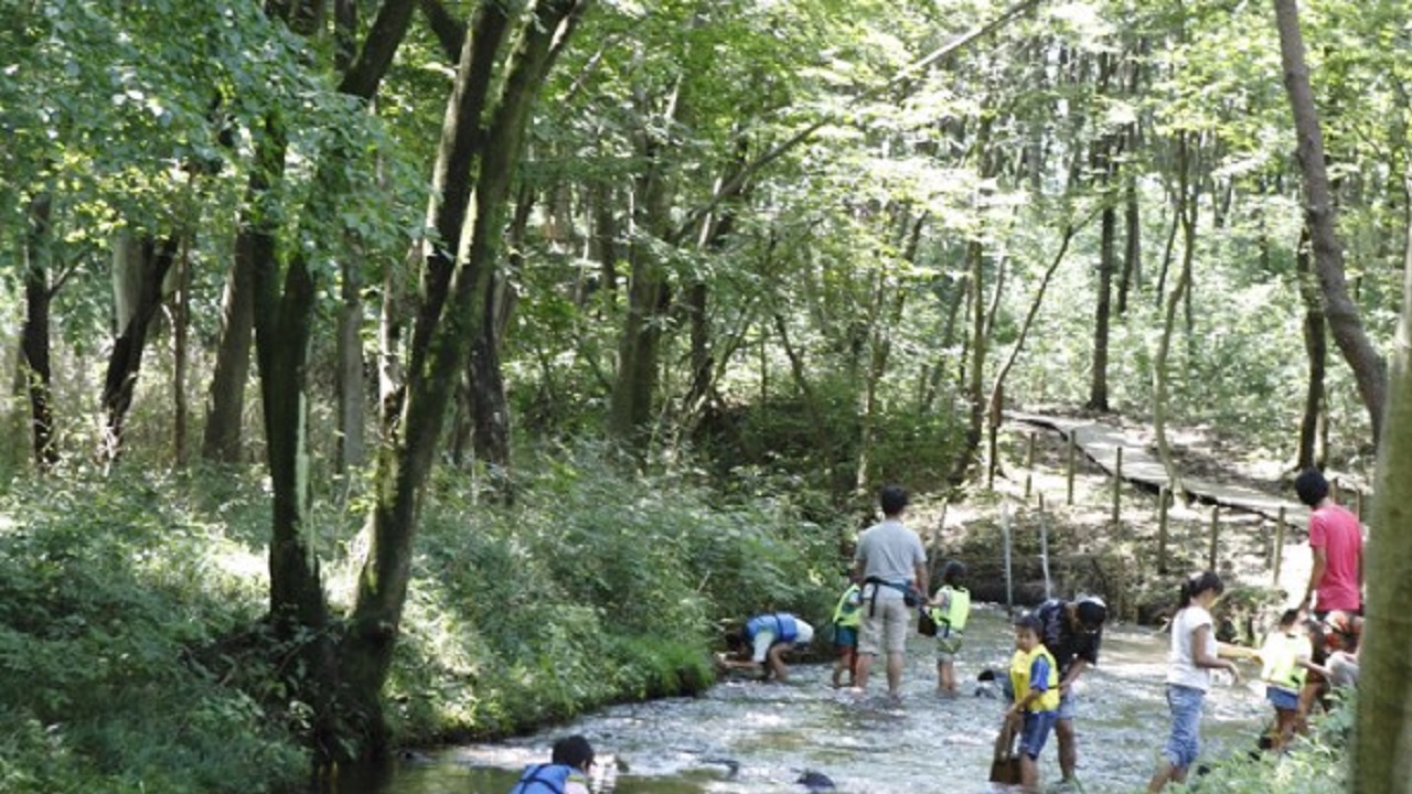 森林ガーデンの小川で遊ぶ人たち