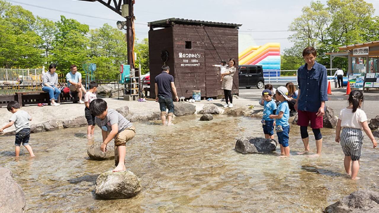 那須 渓流パーク 愛犬と勝負 魚の掴み取り 愛犬の野生の血が騒ぐところを見られるかも Hagu Resort